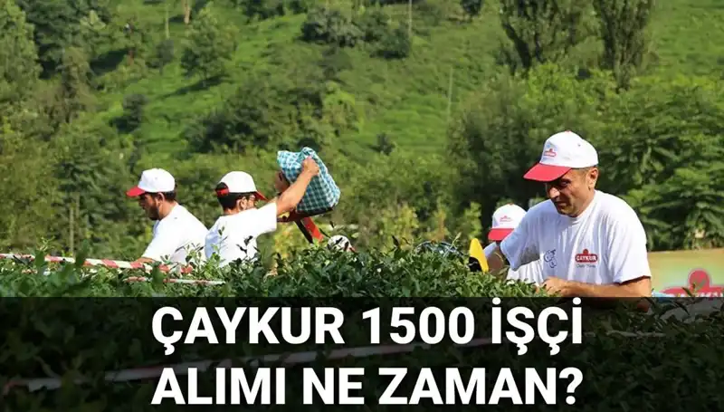 Çaykur İşçi Alımında Başvuru Tarihleri ve Son Durum Detayları Belli Oldu!