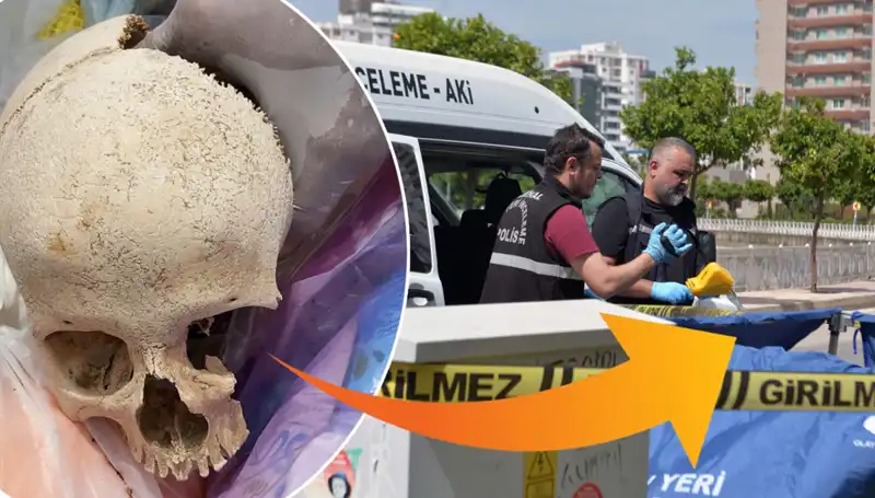 Çöp Alanından Kafatası Bulundu: Sır Perdesi Aralandı!