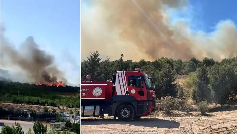 Gebze’de Çıkan Orman Yangını: Yangınla Mücadelede Son Gelişmeler