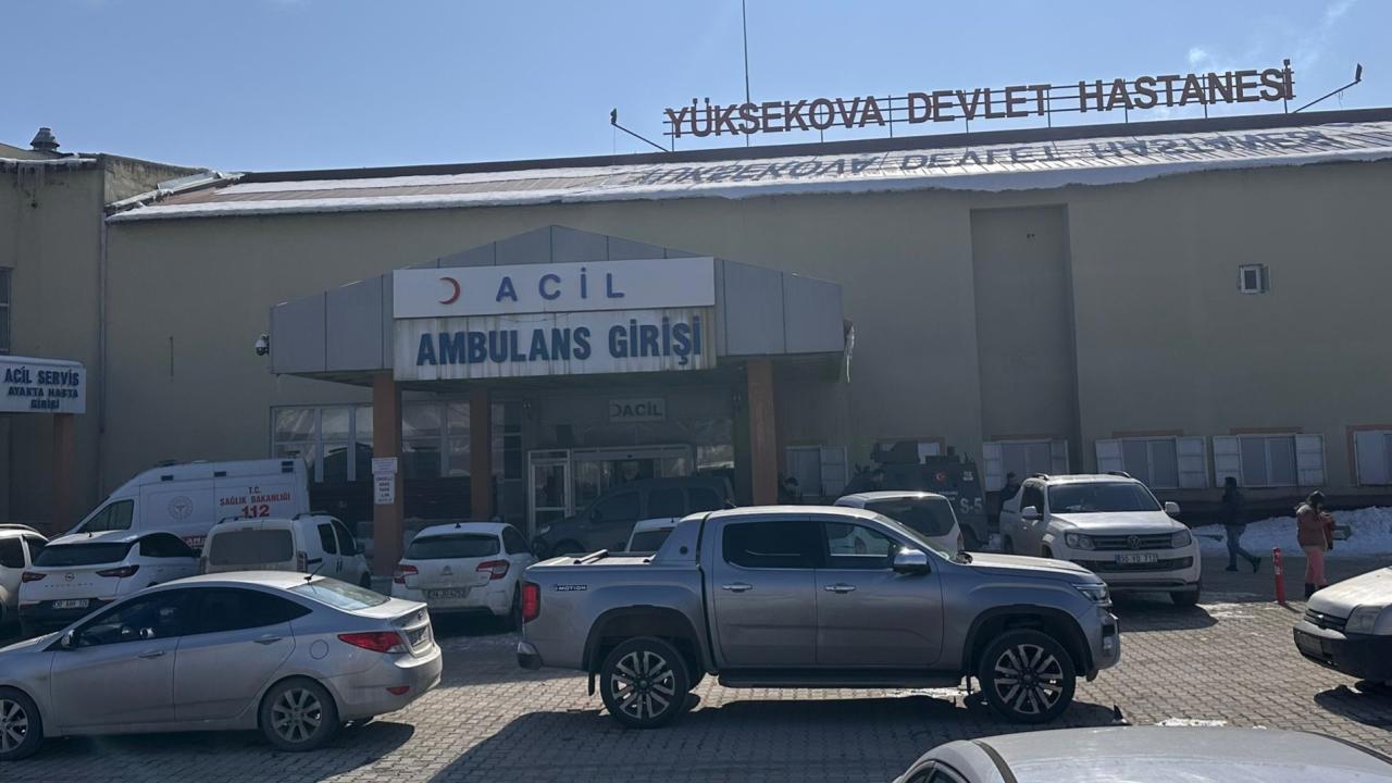 Hakkari'de köpeklerin saldırısında bir çocuk hayatını kaybetti