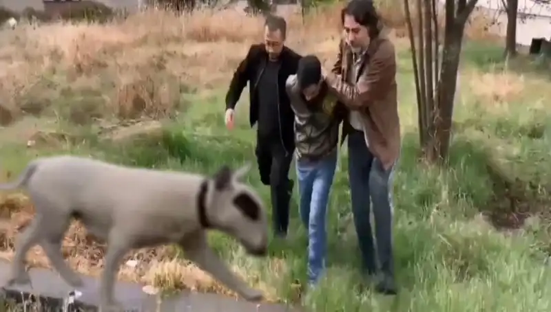 430 Bin Liralık Şampiyon Köpeği Çalan Hırsız Elde Edildi!