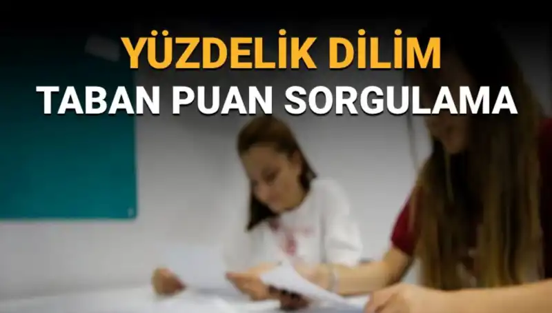 2025 LGS Taban Puanları ve Yüzdelik Dilim Sorgulama Süreci