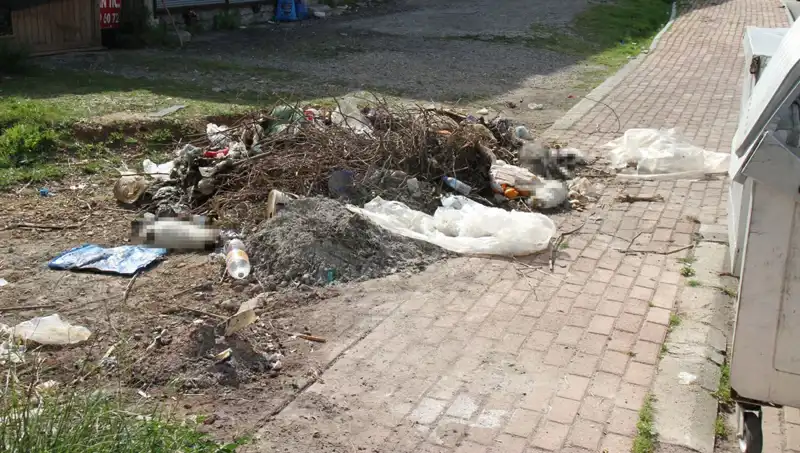 Antalya'da Korkunç Olay: 10 Kedi Ölü Bulundu, İnceleme Başlatıldı