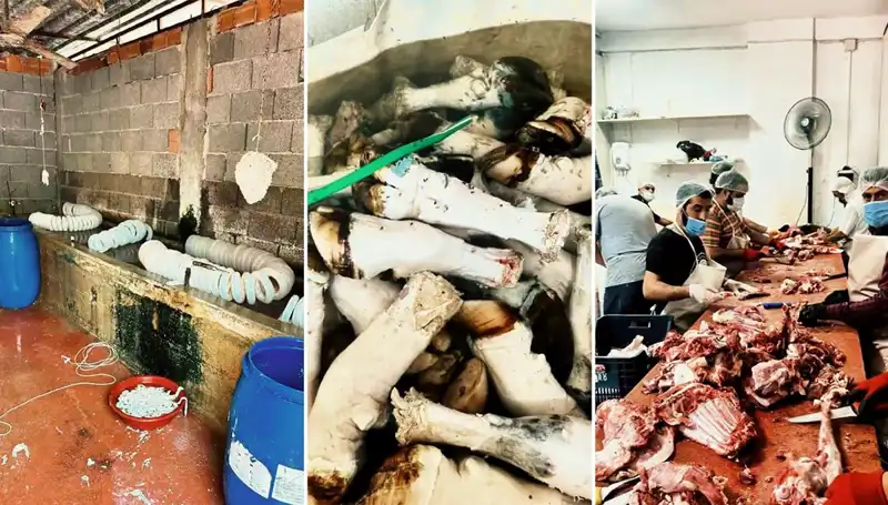 Adana'da Korkunç Manzara: Yüzlerce Kilo Paça Ele Geçirildi!