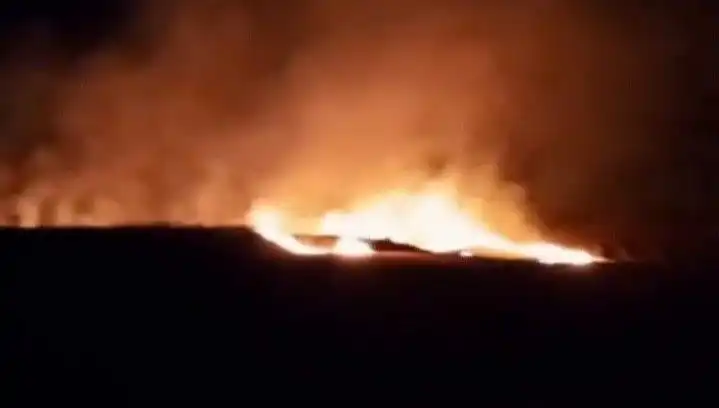 20 Dönüm Tarım Alanı Alev Alev Yandı: Yangın Sebepleri Araştırılıyor