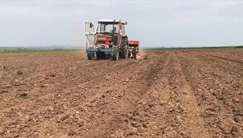 Son 35 Yılda Mart Ayının En Kurak Dönemi: Yağışlarda Çarpıcı Düşüş!