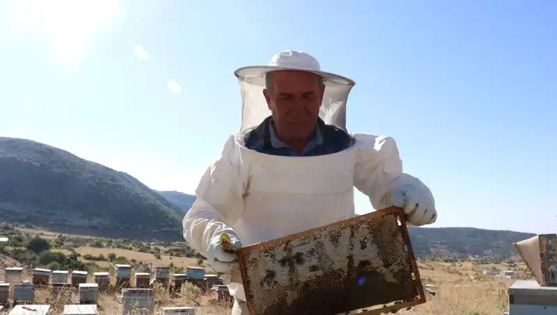 25 Yıl Sonra Geri Dönüp 2 Ton Üreten Adama Hayran Kaldık!