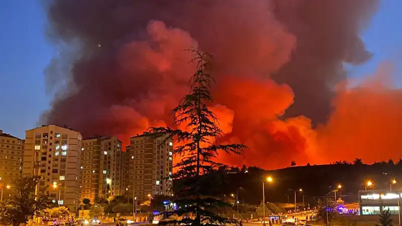 Bursa’da Yangın Alarmı: Şehirdeki Yangınların Sebepleri ve Sonuçları Neler?