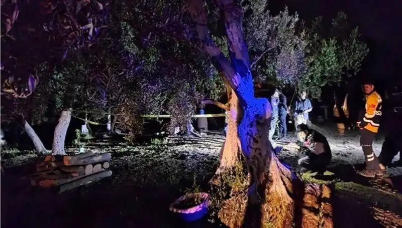 Çiftlikte Baltalı Vahşet: Tarım İşçisinin Katili Yakalandı