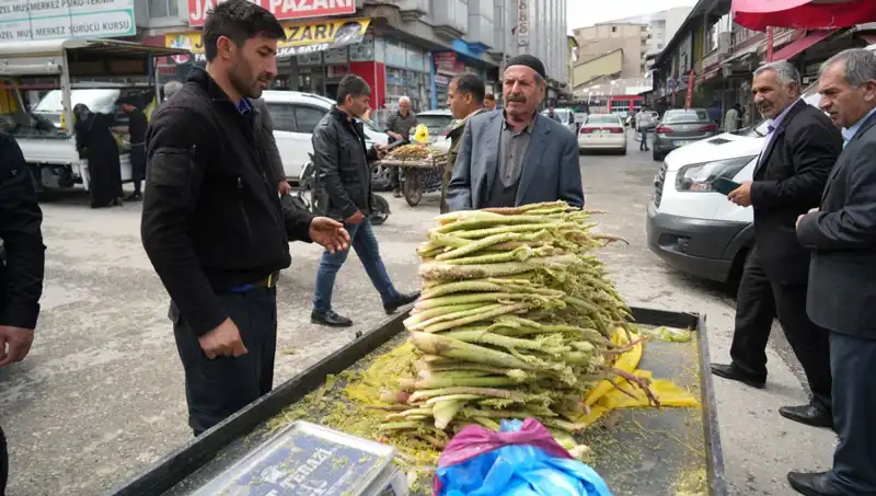 Doğanın Mücevheri: Dağ Şekerinin Kanser ve Mide Hastalıklarına Faydaları
