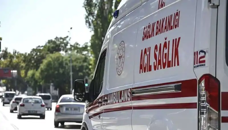 Böcek Korkusu Apartmanı Tahliye Etti: Mangalda Pul Biber Yakma Olayı