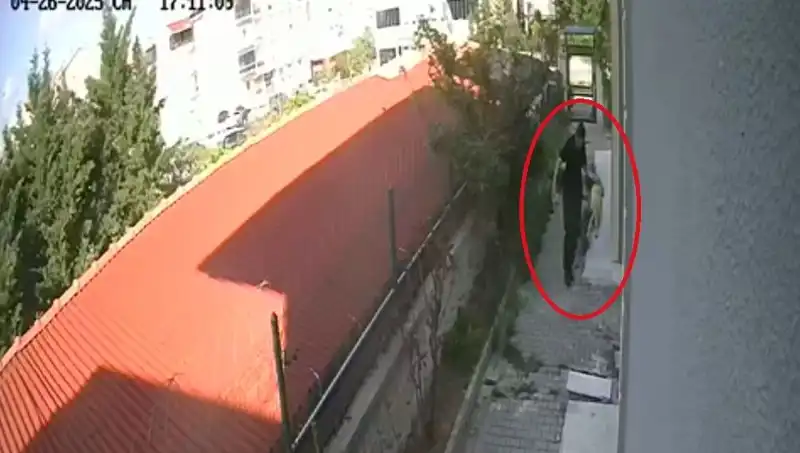 Evlat Edindiği Köpekleri Parçalayarak Öldüren Doktorun Şok Edici Hikayesi