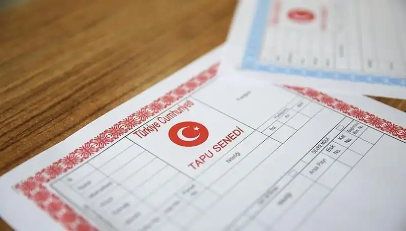 Hisseli Tapu Tuzağı: 100 Milyonluk Dolandırıcılık Ağı Ortaya Çıktı