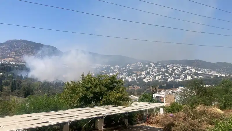 Muğla'daki Orman Yangınları Kontrol Altına Alındı: Zarar Gören Alanların Durumu Ne?