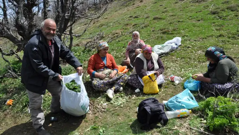Yürüyüş Yaparak Geçim Sağlayan Ailelerin Hikayesi