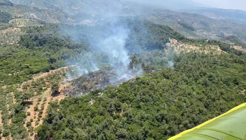 Aydın'da Korkutan Orman Yangını: Yangın Kontrol Altına Alındı!